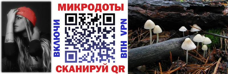 Псилоцибиновые грибы мицелий  kraken ONION  мориарти формула  Приморско-Ахтарск 