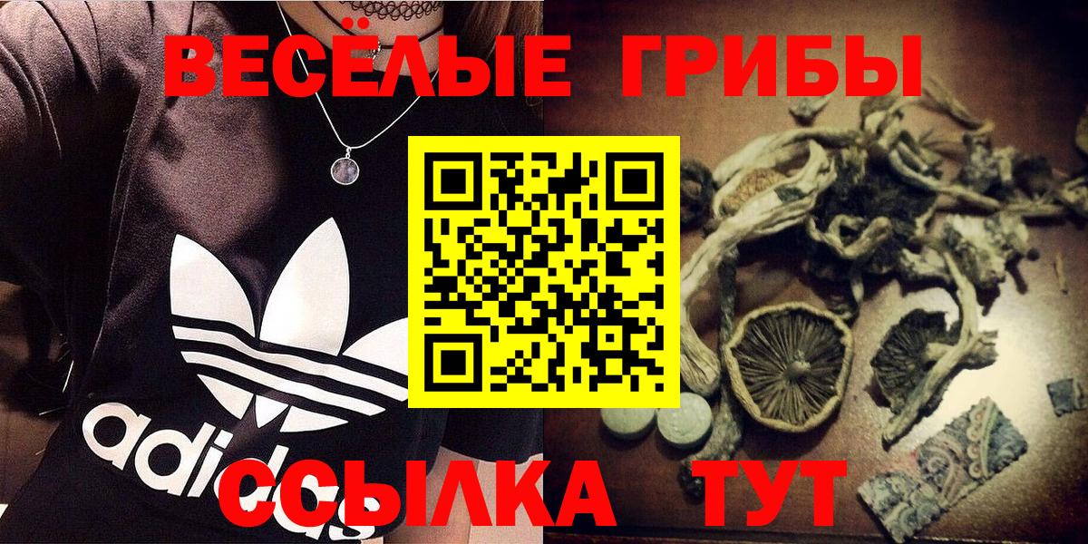 Псилоцибиновые грибы MAGIC MUSHROOMS Приморско-Ахтарск